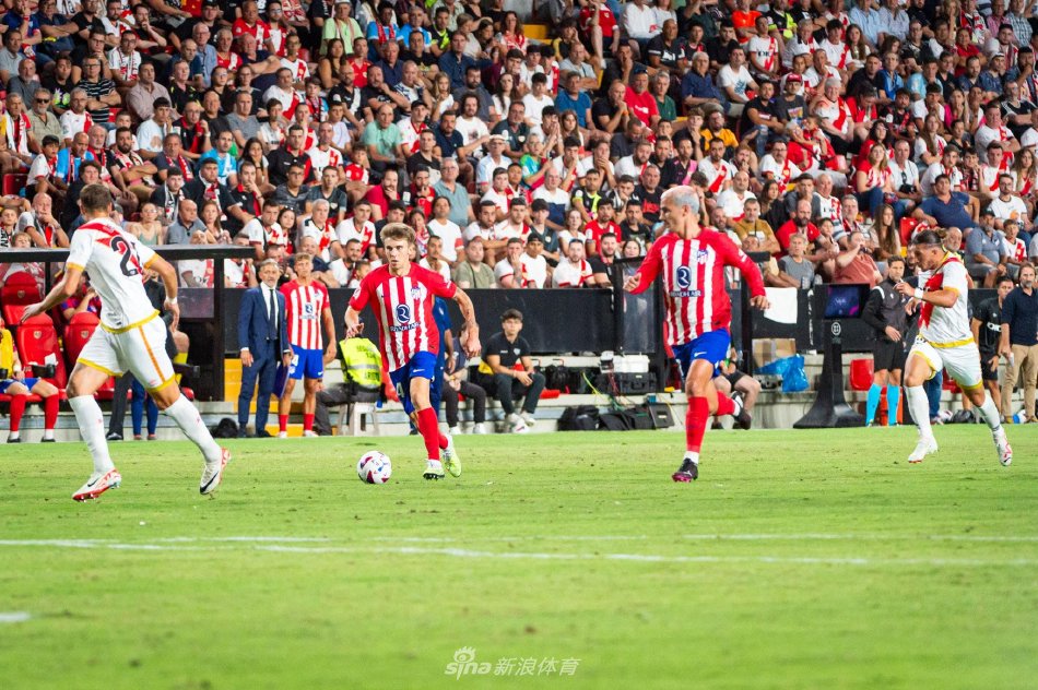 黄组合近两 黄组合近两